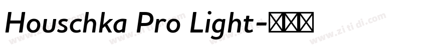 Houschka Pro Light字体转换